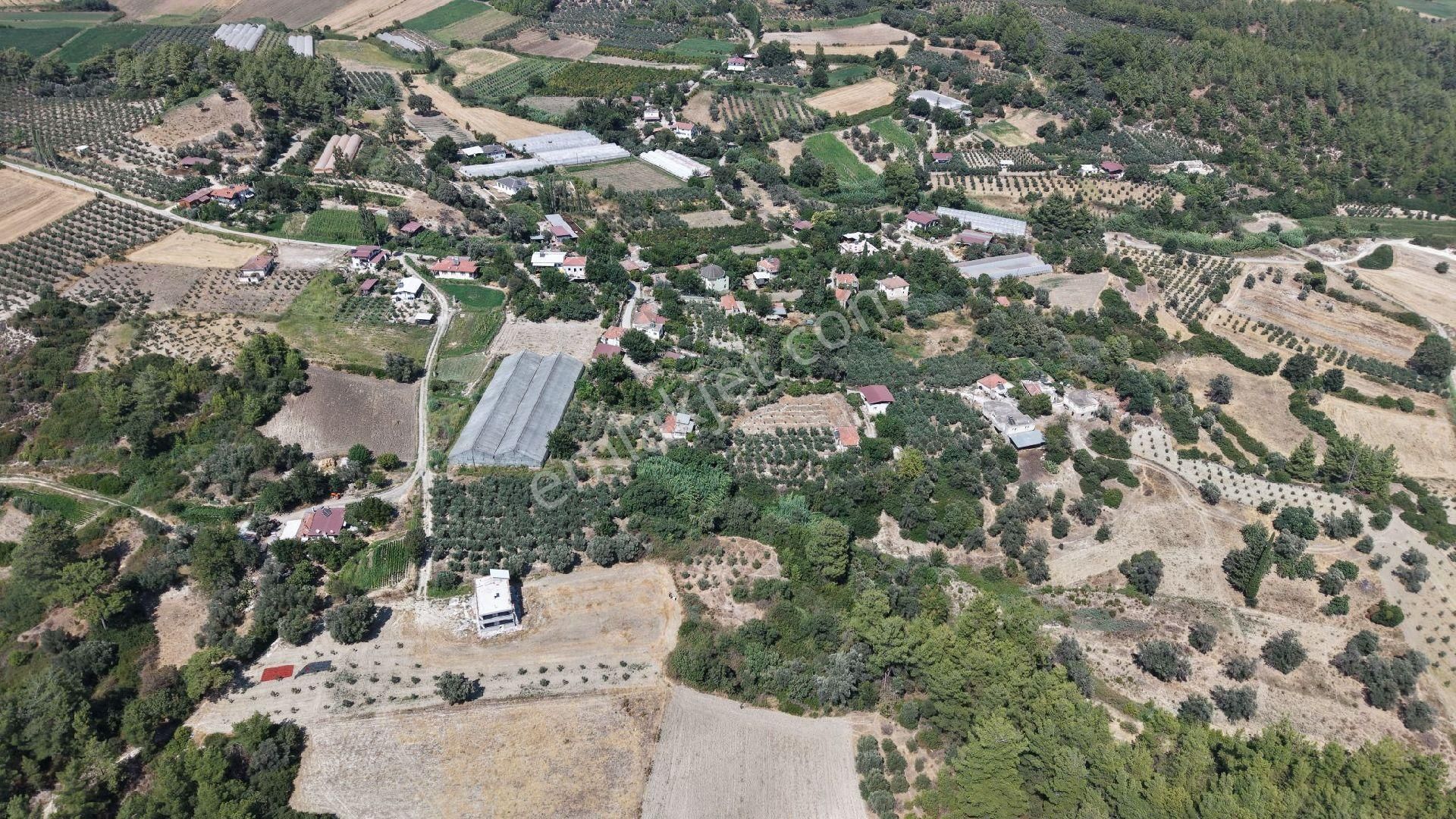Muğla Seydikemer Satılık Bahçe - Görsel 3