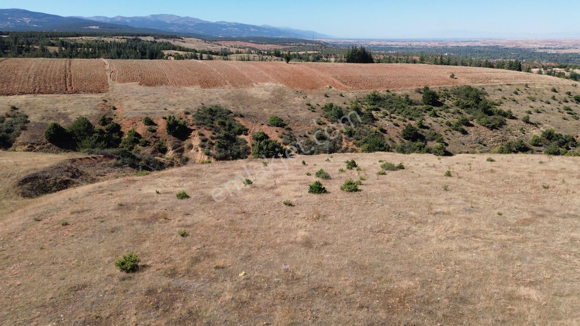 Konya / Doğanhisar / Atatürk Mahallesinde 2.683 M² Müstakil Tapulu Tarla - Görsel 6
