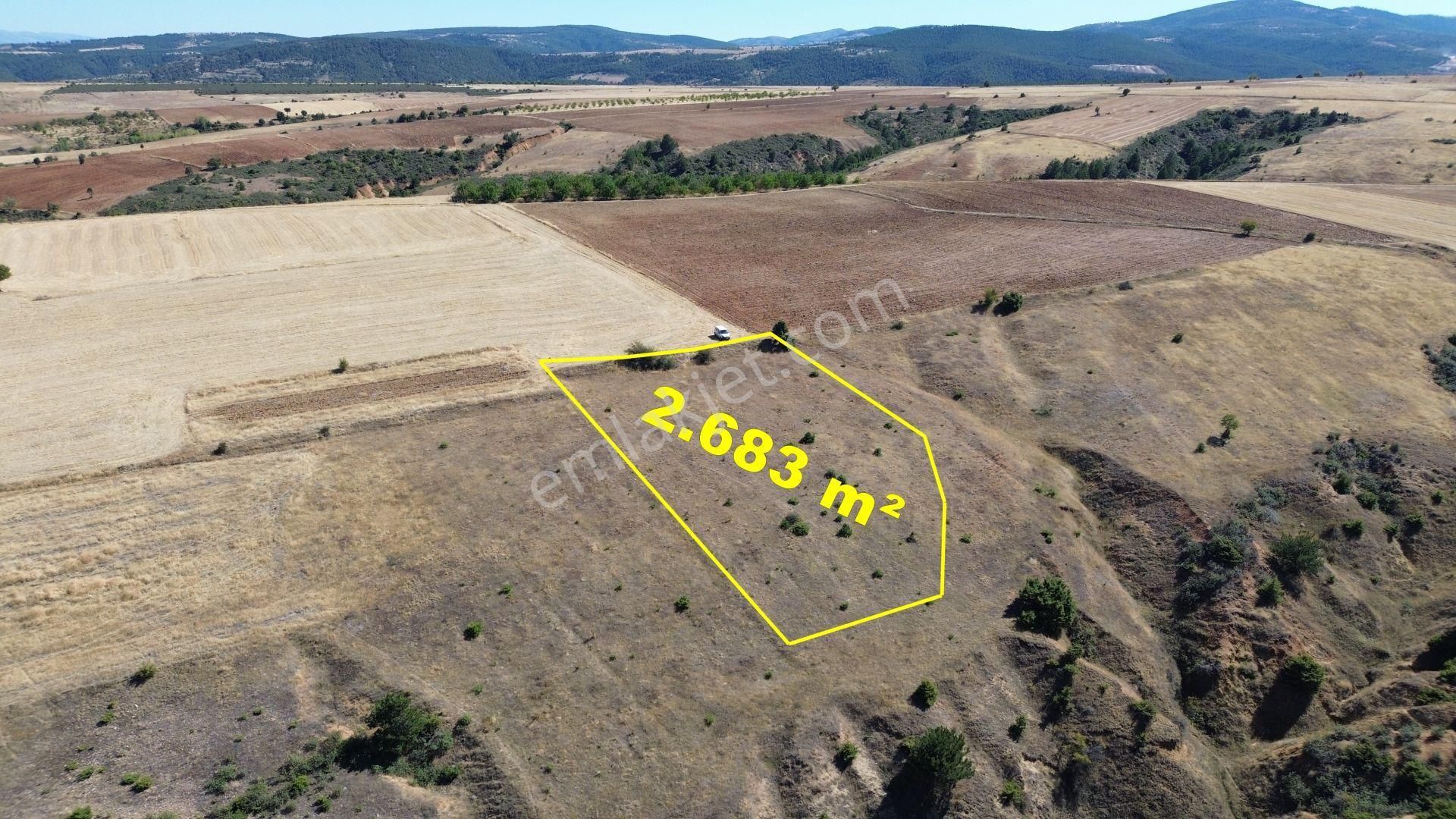 Konya / Doğanhisar / Atatürk Mahallesinde 2.683 M² Müstakil Tapulu Tarla - Görsel 4