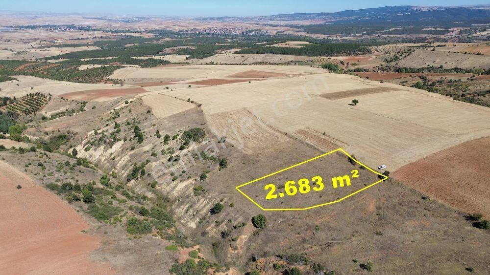 Konya / Doğanhisar / Atatürk Mahallesinde 2.683 M² Müstakil Tapulu Tarla