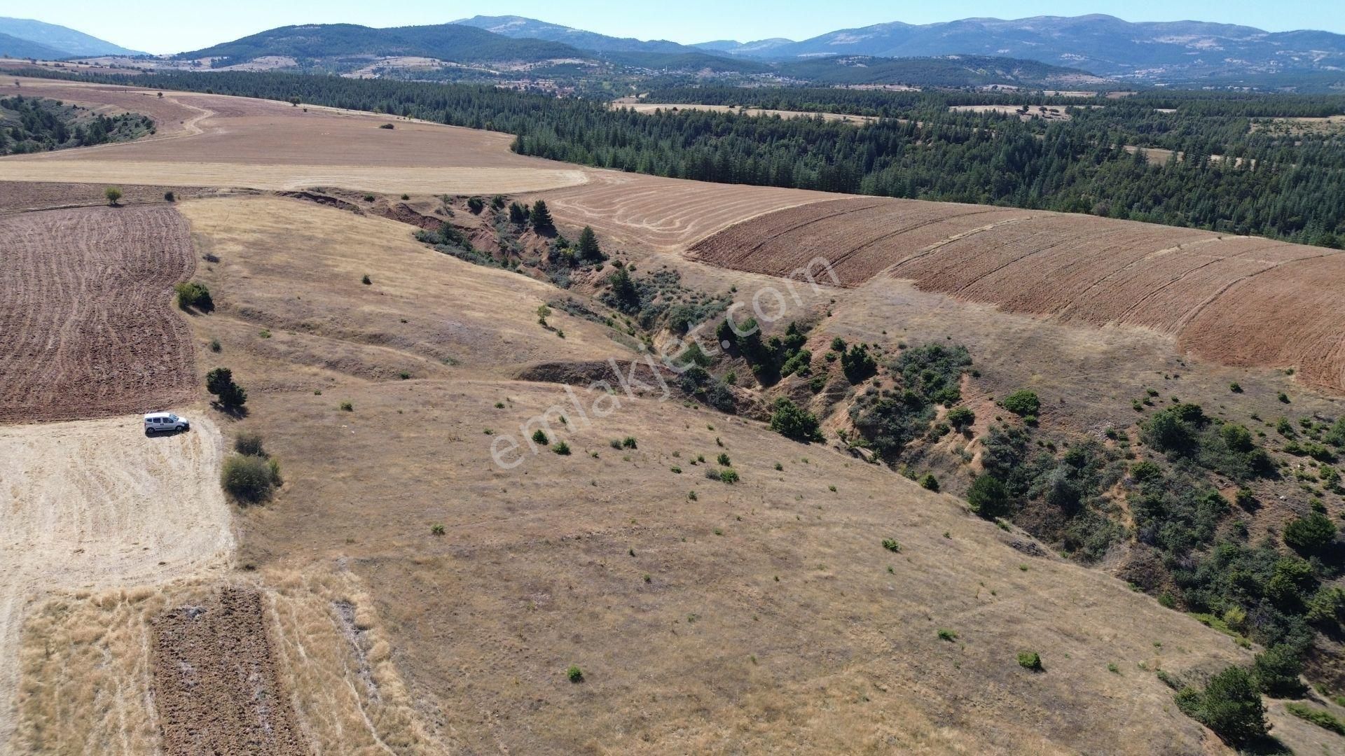 Konya / Doğanhisar / Atatürk Mahallesinde 2.683 M² Müstakil Tapulu Tarla - Görsel 5