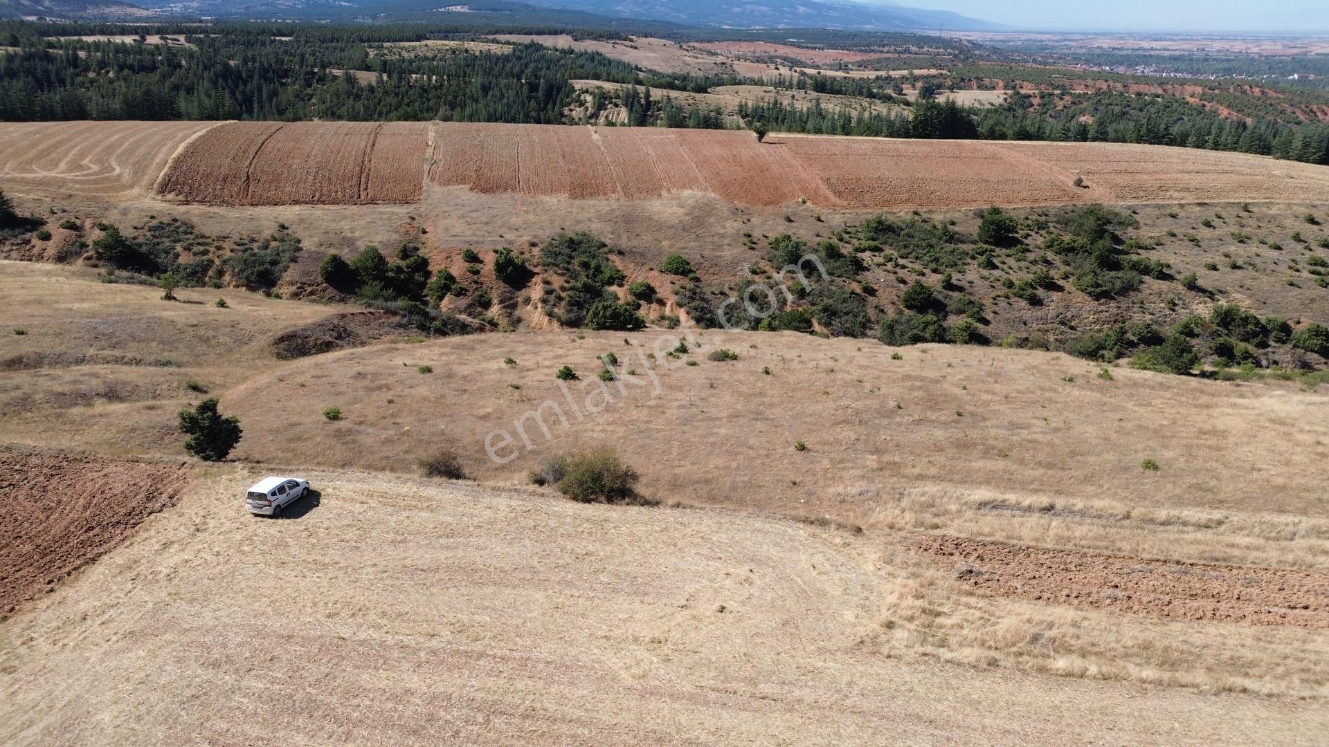 Konya / Doğanhisar / Atatürk Mahallesinde 2.683 M² Müstakil Tapulu Tarla - Görsel 2
