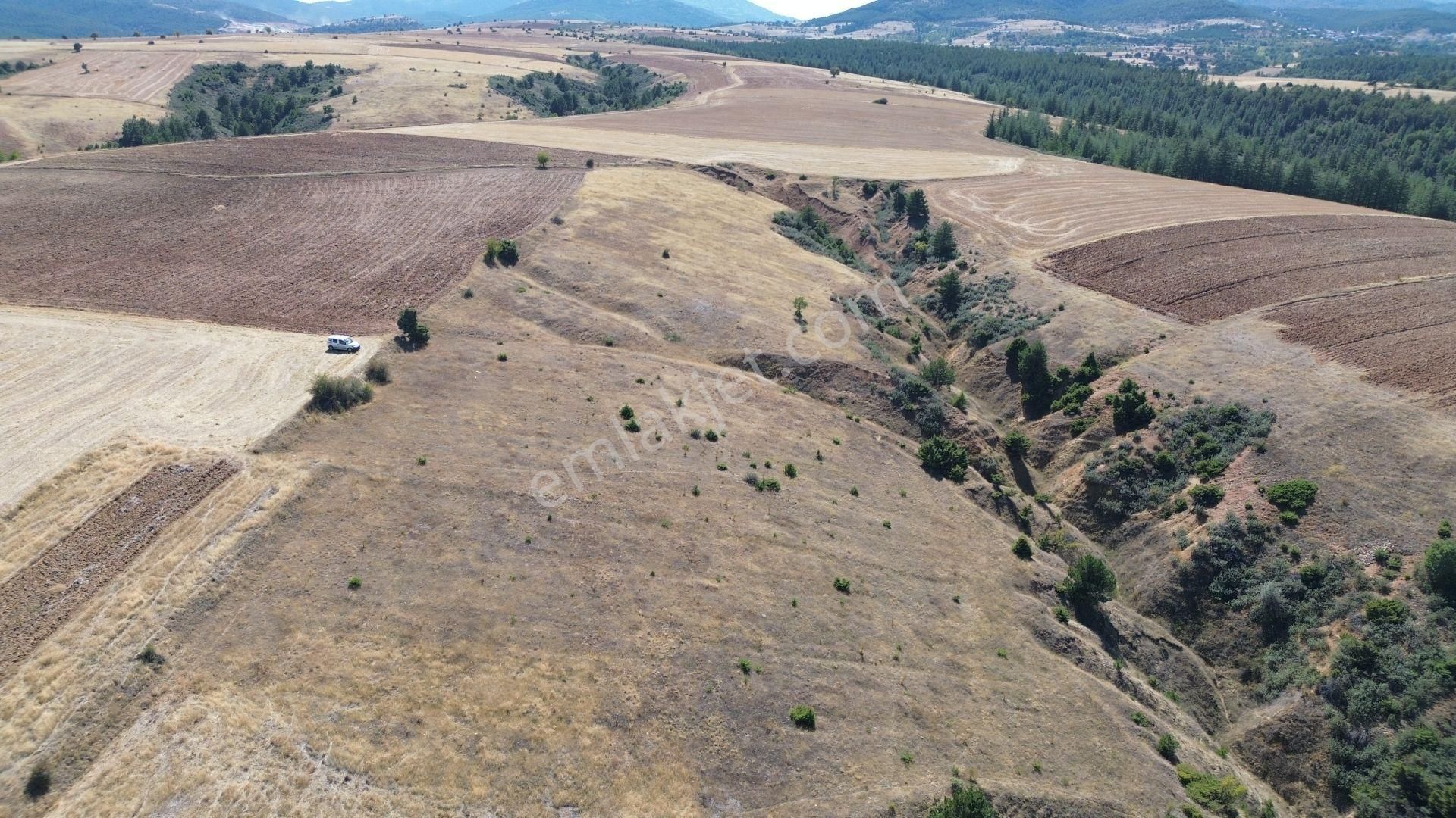 Konya / Doğanhisar / Atatürk Mahallesinde 2.683 M² Müstakil Tapulu Tarla - Görsel 3