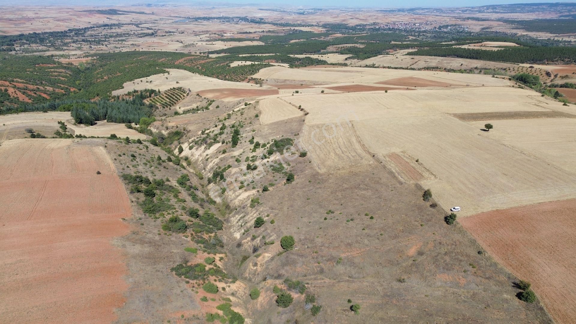 Konya / Doğanhisar / Atatürk Mahallesinde 2.683 M² Müstakil Tapulu Tarla - Görsel 8
