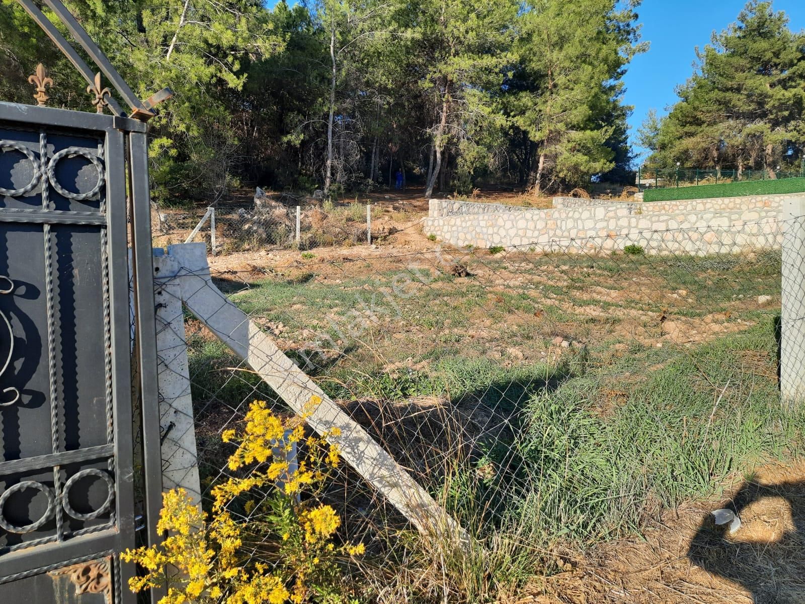 İzmir Torbalı Demirci Köyünde Mirastan Bölünme Arsa - Görsel 3