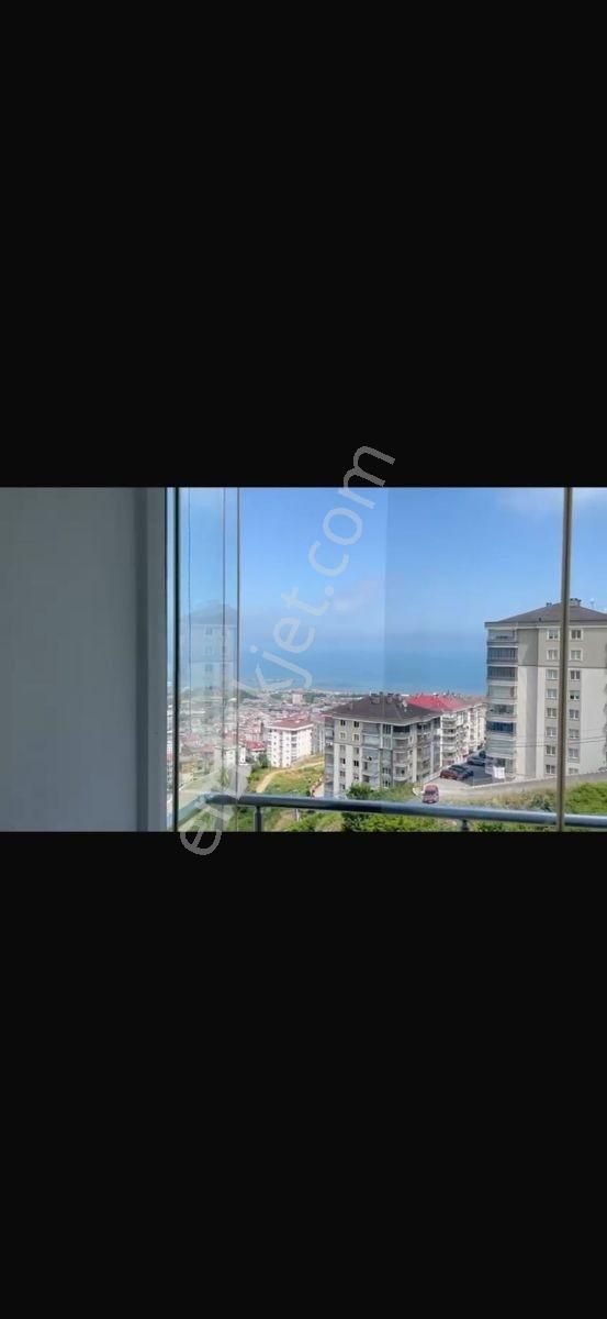 Kalkınmada Sıte Icı Esyalı Daıre