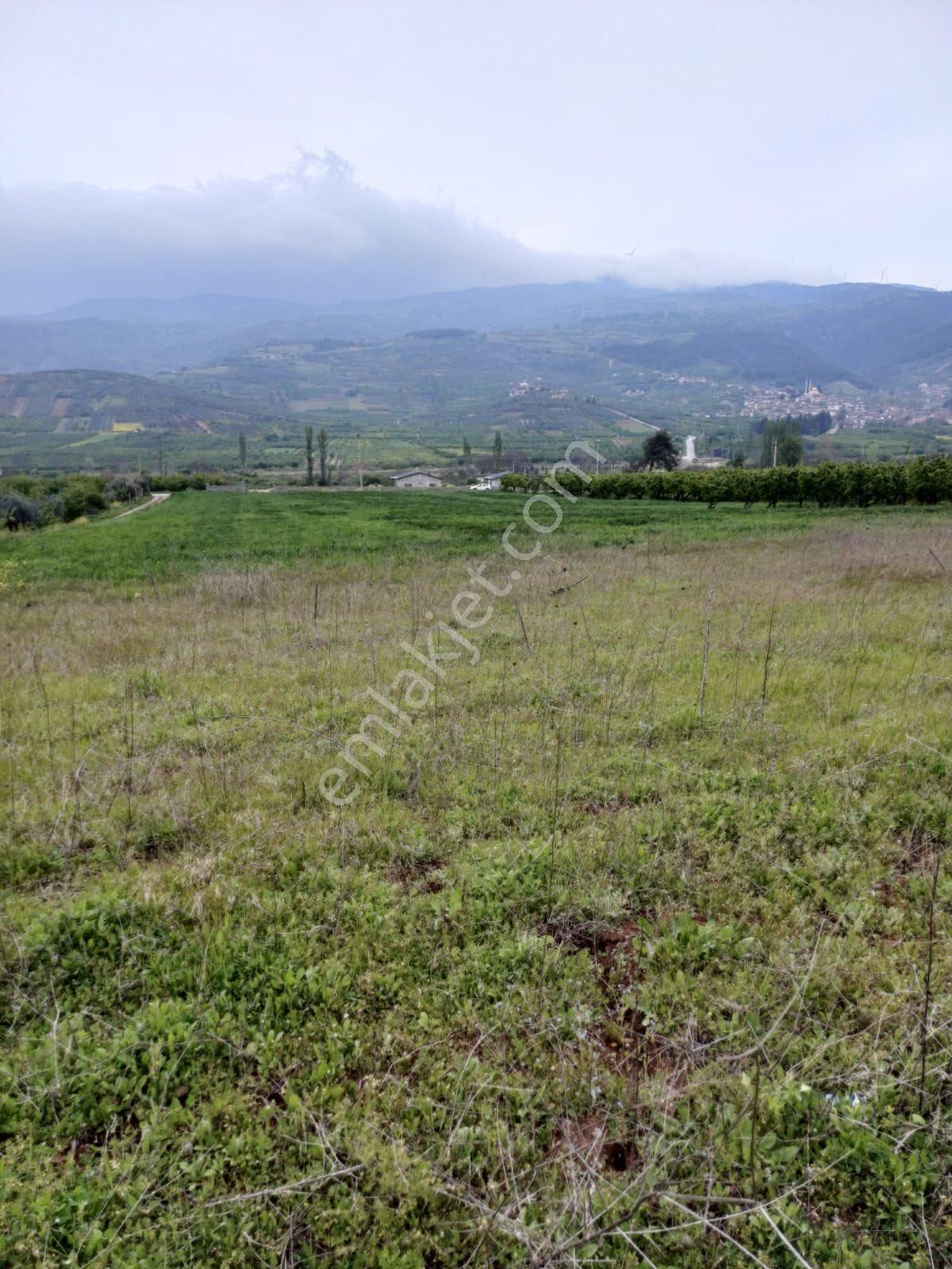 Geyve Merkeze 2 Dakika | Yola Cephe | 2.311 M² Yatırımlık Tarla - Görsel 7