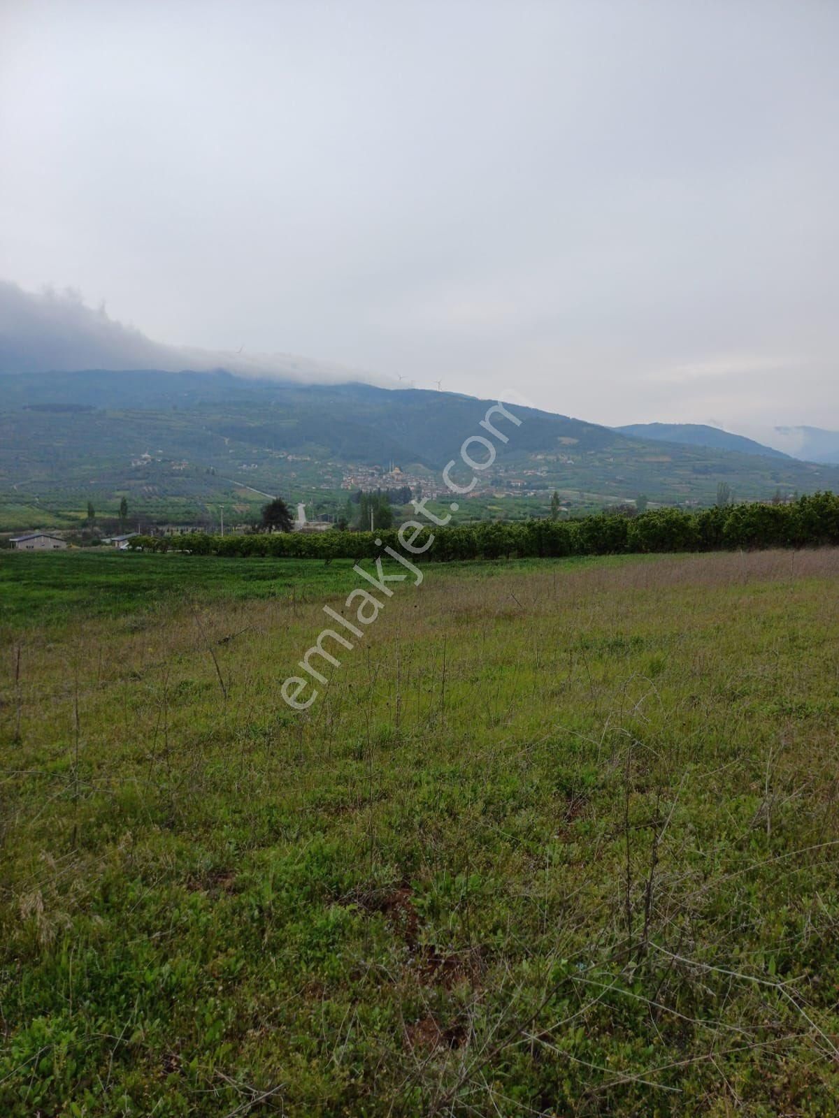 Geyve Merkeze 2 Dakika | Yola Cephe | 2.311 M² Yatırımlık Tarla - Görsel 3