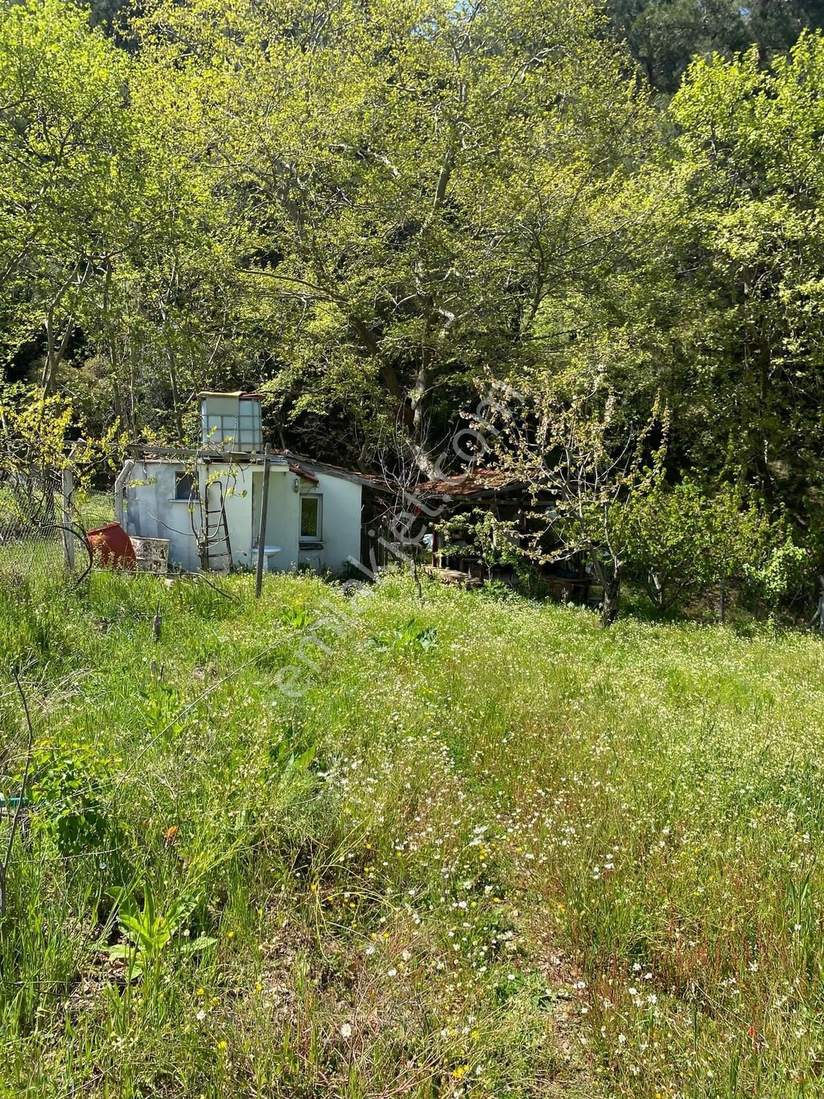 Novas Gayrimenkul'den Satılık Armutlu'da Tek Tapu Evi Olan Bahçe - Görsel 10