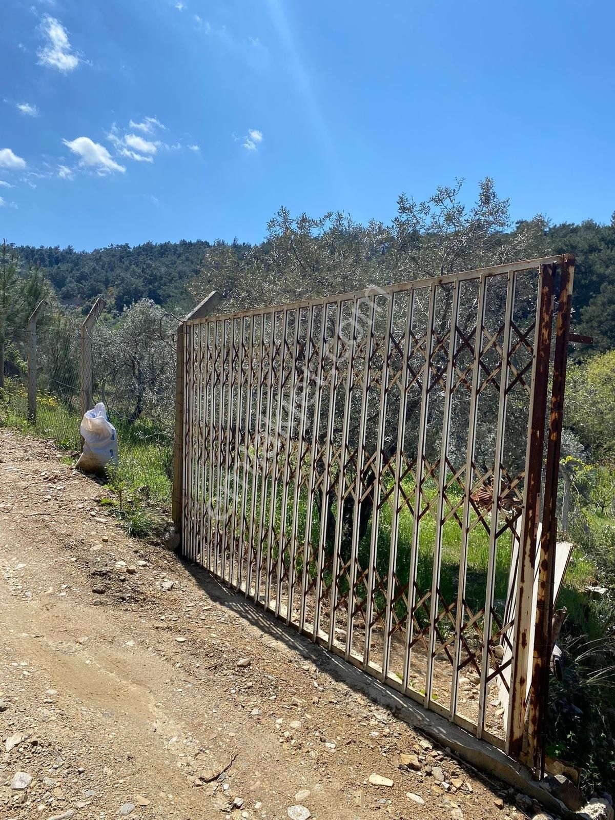 Novas Gayrimenkul'den Satılık Armutlu'da Tek Tapu Evi Olan Bahçe - Görsel 7