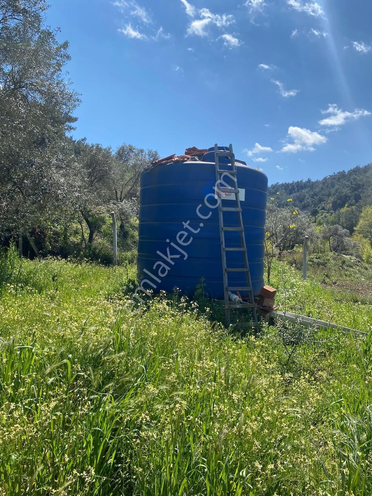 Novas Gayrimenkul'den Satılık Armutlu'da Tek Tapu Evi Olan Bahçe - Görsel 7