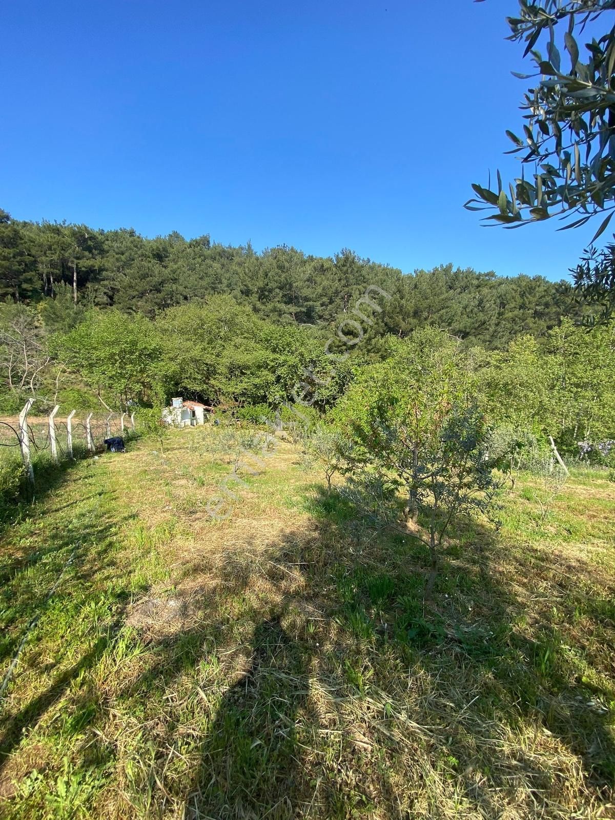 Novas Gayrimenkul'den Satılık Armutlu'da Tek Tapu Evi Olan Bahçe - Görsel 5