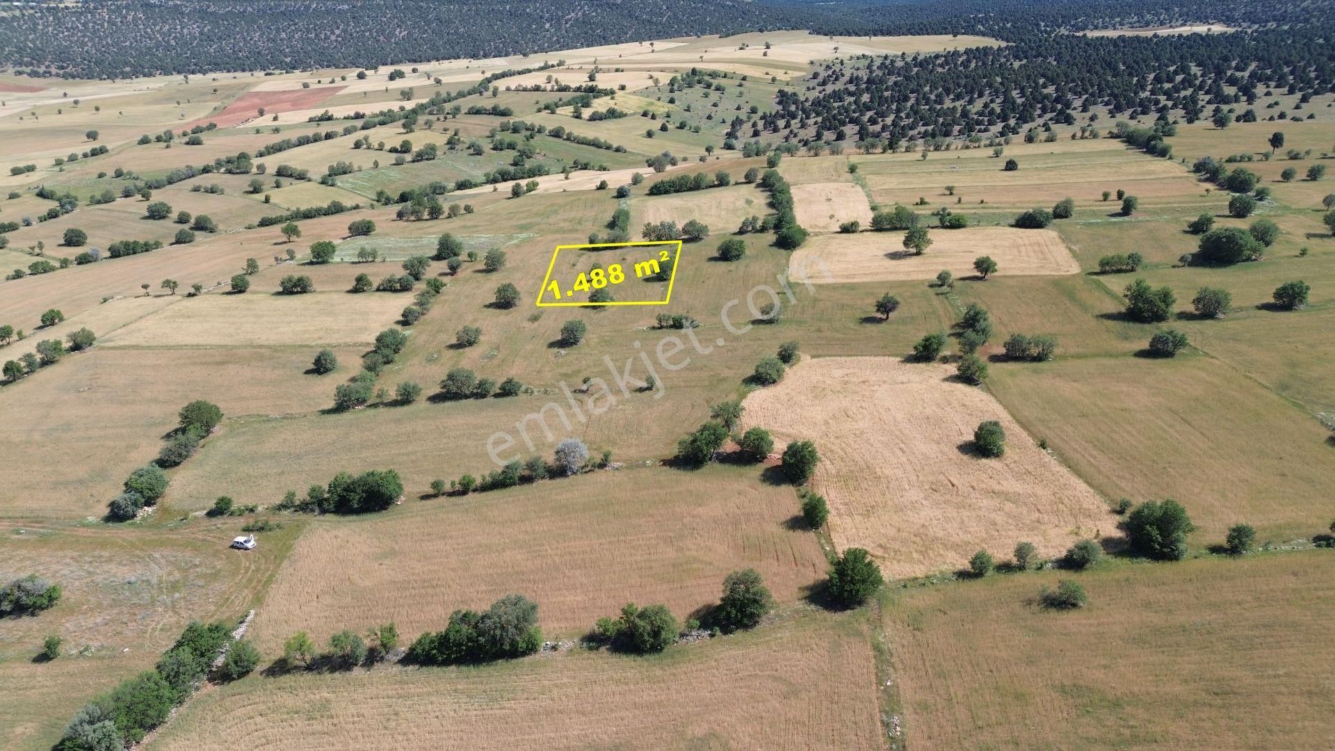Konya / Akören / Karahüyük Mahallesinde 1.488 M² Müstakil Tapulu Tarla - Görsel 2