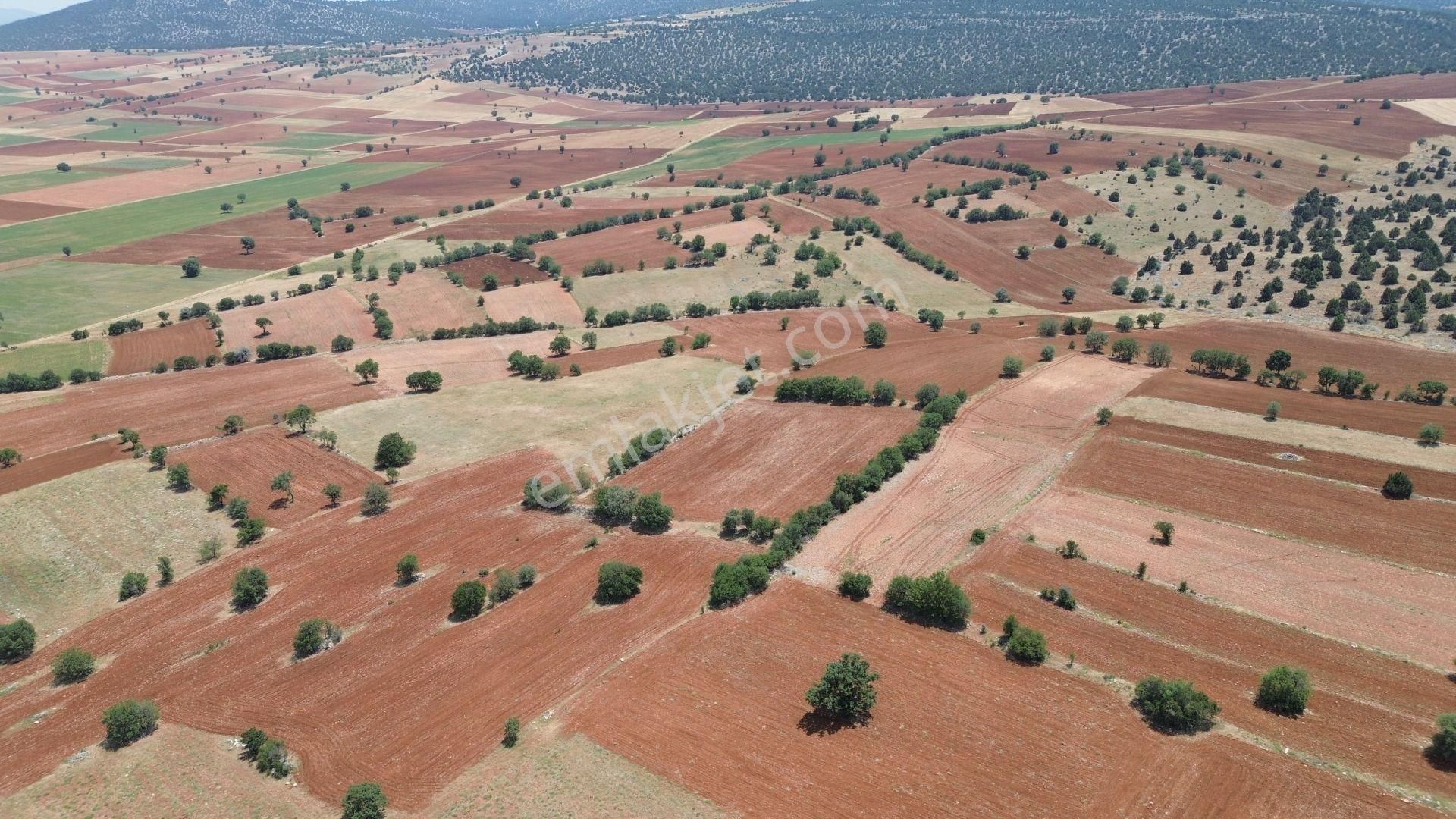 Konya / Akören / Karahüyük Mahallesinde 1.488 M² Müstakil Tapulu Tarla - Görsel 7