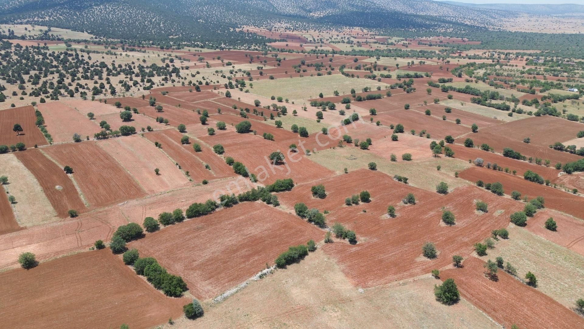 Konya / Akören / Karahüyük Mahallesinde 1.488 M² Müstakil Tapulu Tarla - Görsel 3
