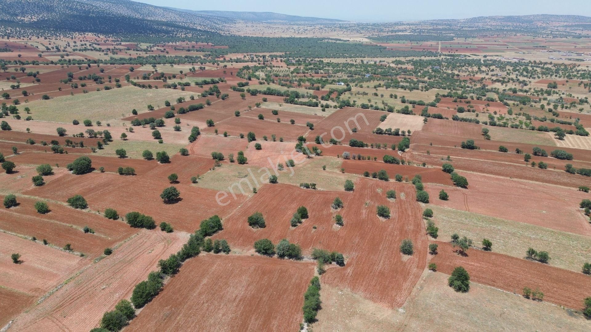 Konya / Akören / Karahüyük Mahallesinde 1.488 M² Müstakil Tapulu Tarla - Görsel 4