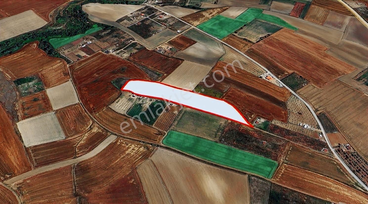 Turyap Hürriyetten M.ereğlisi Yeniçiflik 15.900 M2 Satılık Tarla - Görsel 5