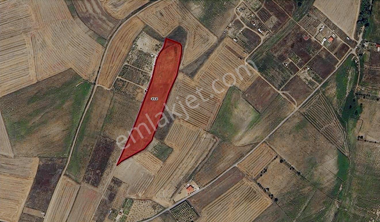 Turyap Hürriyetten M.ereğlisi Yeniçiflik 15.900 M2 Satılık Tarla