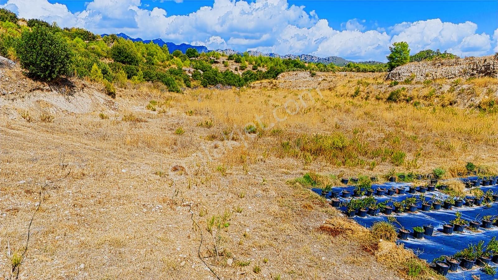 Antalya Aksu Kayadibi Satılık 15.260 M2 Tarla - Görsel 8