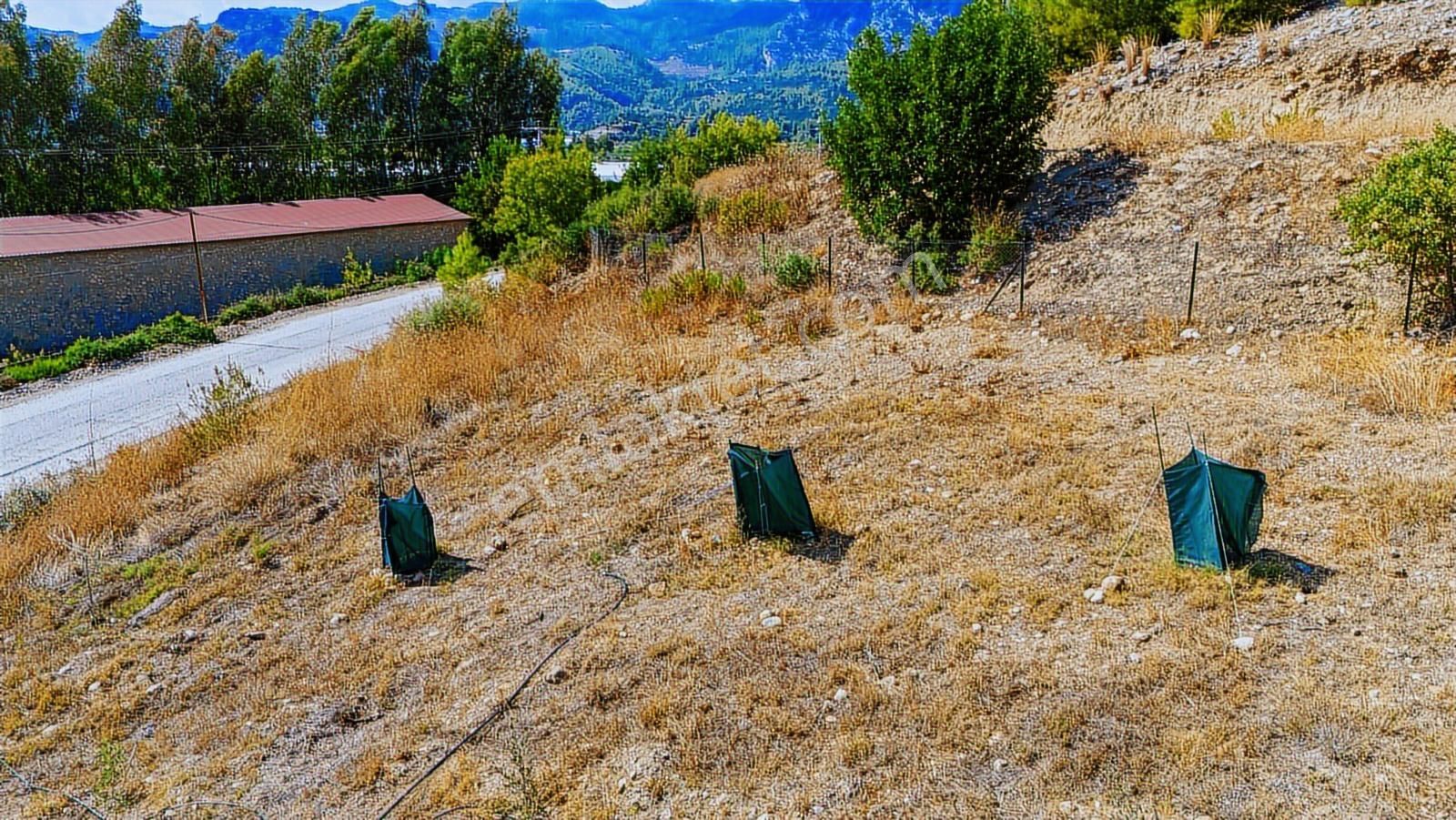 Antalya Aksu Kayadibi Satılık 15.260 M2 Tarla - Görsel 11