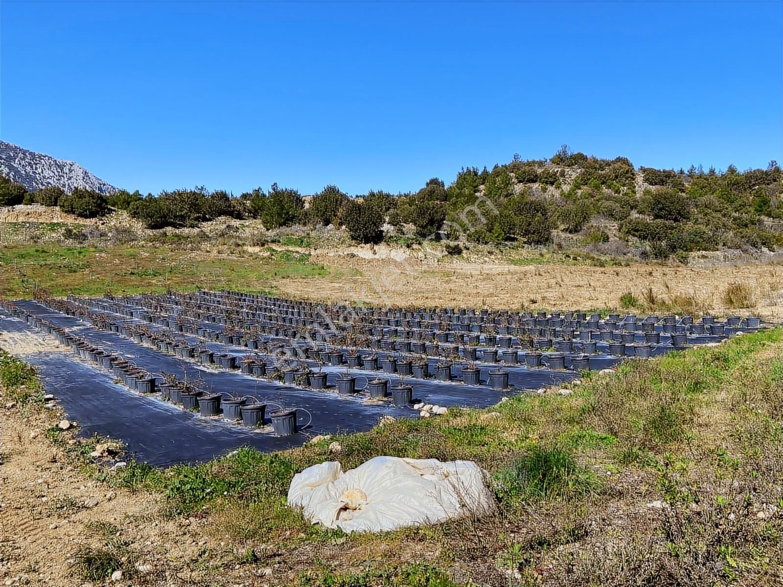 Antalya Aksu Kayadibi Satılık 15.260 M2 Tarla - Görsel 33