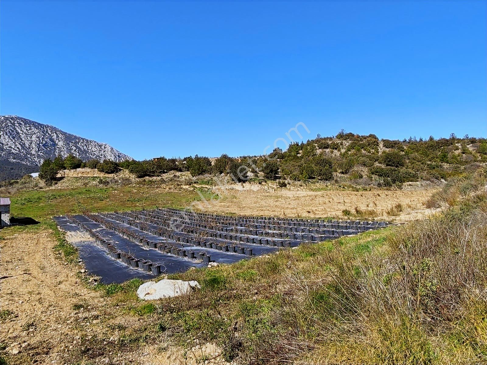 Antalya Aksu Kayadibi Satılık 15.260 M2 Tarla - Görsel 4