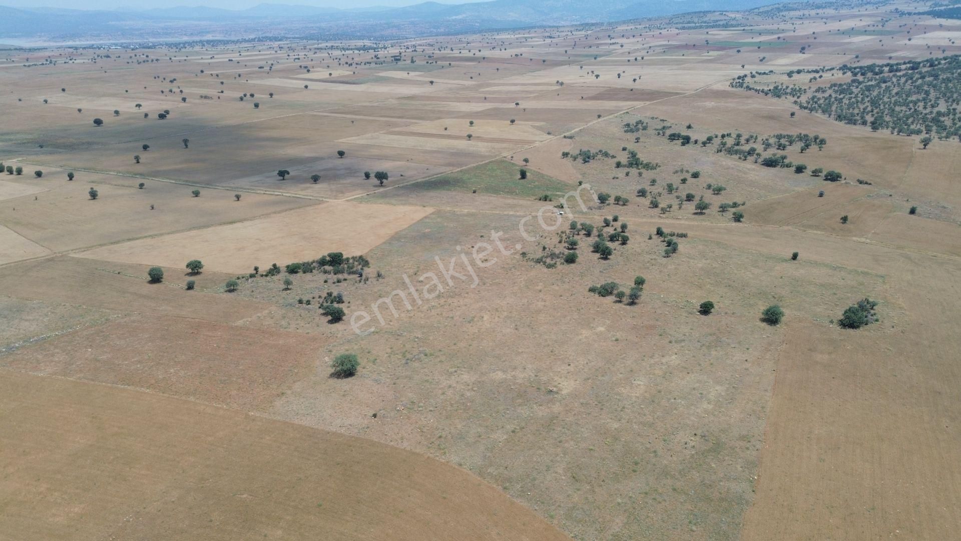 Konya / Akören / Karahüyük Mahallesinde 9.149 M² Müstakil Tapulu Tarla - Görsel 5