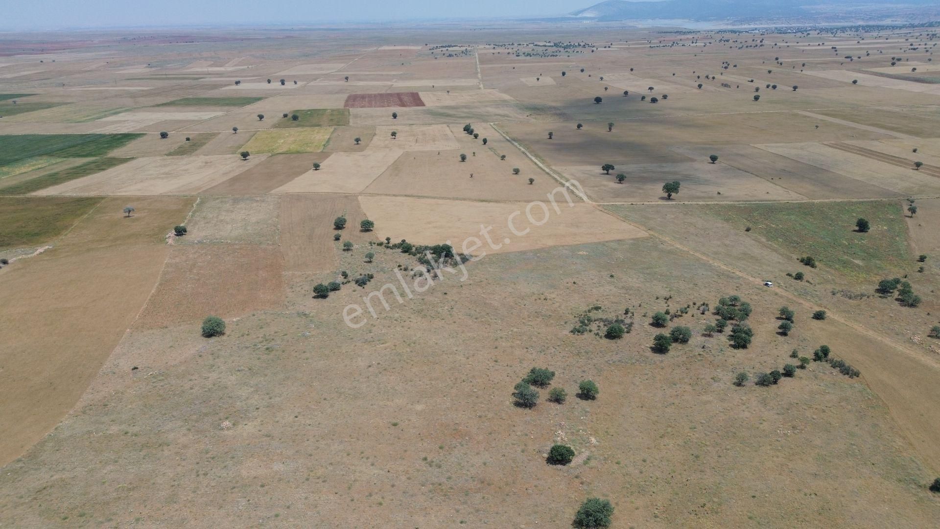 Konya / Akören / Karahüyük Mahallesinde 9.149 M² Müstakil Tapulu Tarla - Görsel 3