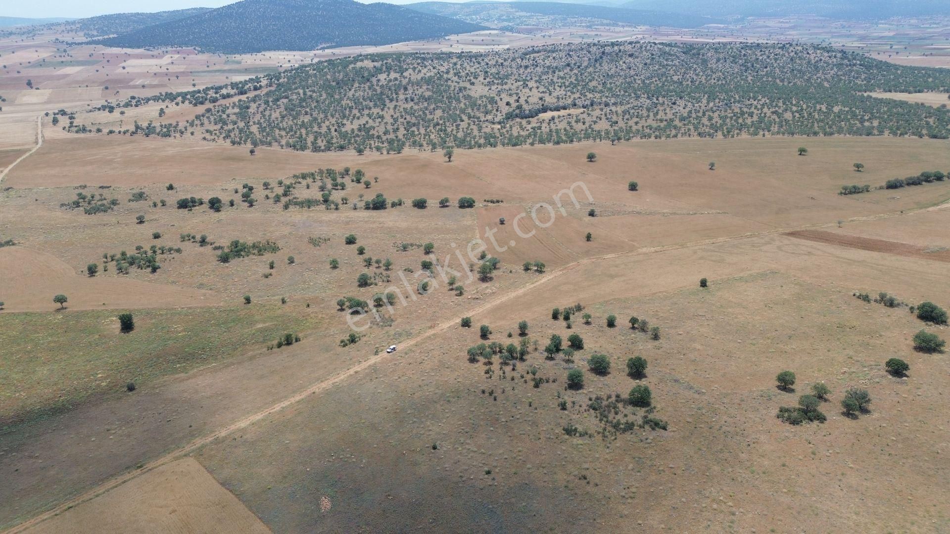 Konya / Akören / Karahüyük Mahallesinde 9.149 M² Müstakil Tapulu Tarla - Görsel 9