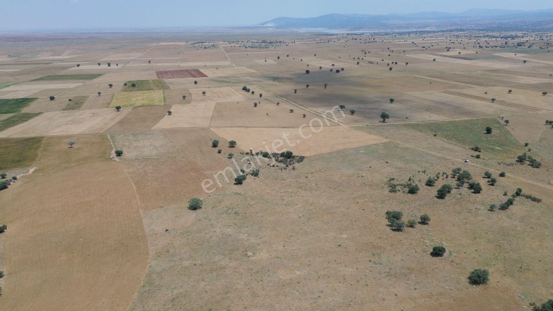 Konya / Akören / Karahüyük Mahallesinde 9.149 M² Müstakil Tapulu Tarla - Görsel 4
