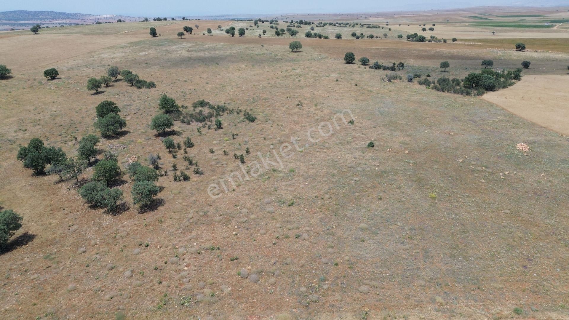 Konya / Akören / Karahüyük Mahallesinde 9.149 M² Müstakil Tapulu Tarla - Görsel 2