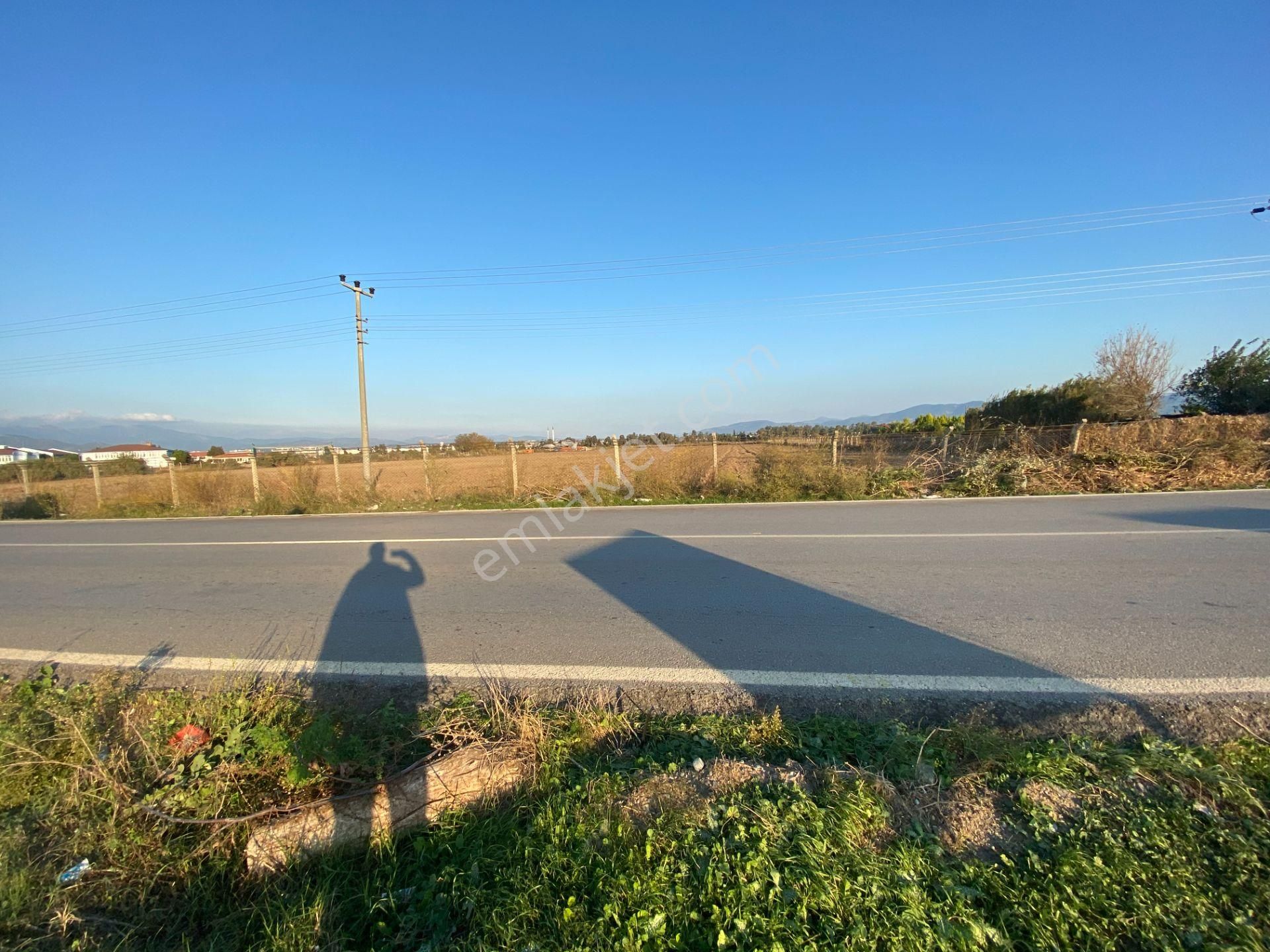 Burhaniye De Satılık 48,000 Metre Kare Arsa.denize 800 Metre Mesafe