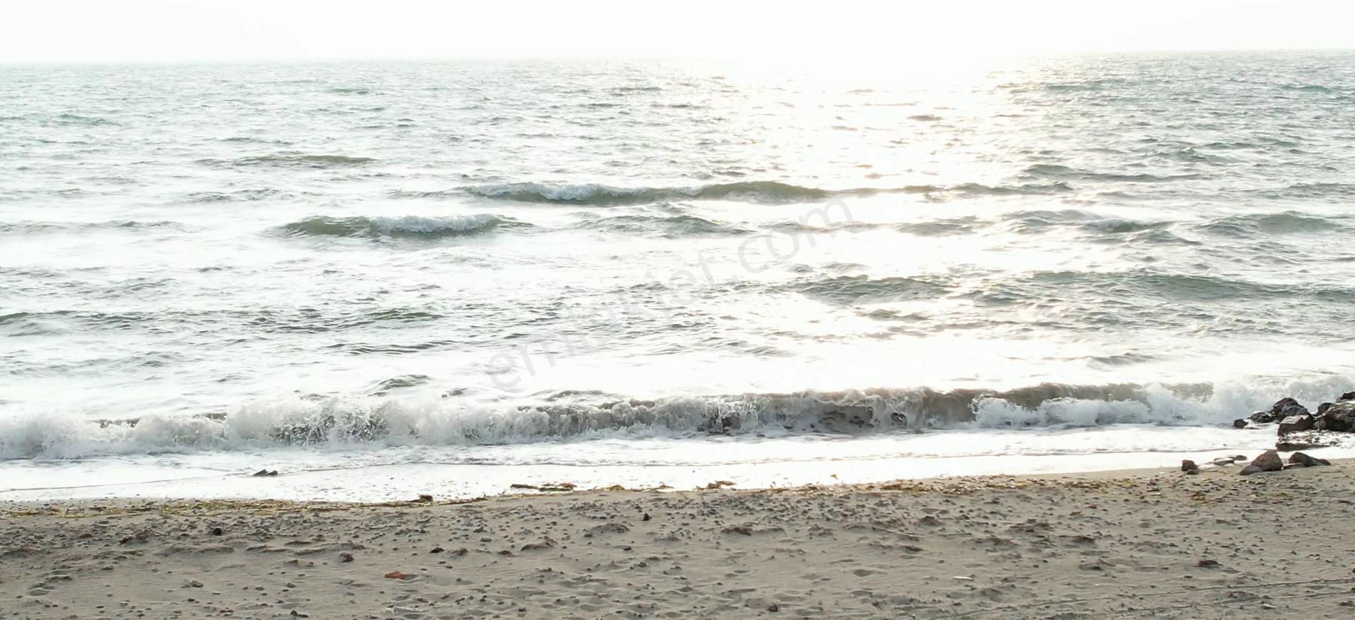 Burhaniye De Satılık 48,000 Metre Kare Arsa.denize 800 Metre Mesafe - Görsel 2