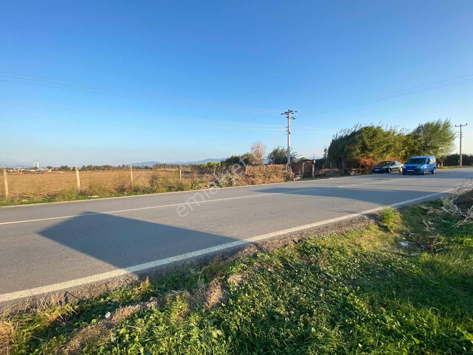 Burhaniye De Satılık 48,000 Metre Kare Arsa.denize 800 Metre Mesafe - Görsel 6