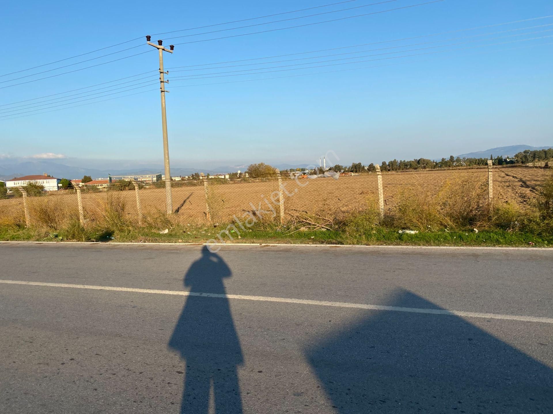 Burhaniye De Satılık 48,000 Metre Kare Arsa.denize 800 Metre Mesafe - Görsel 4