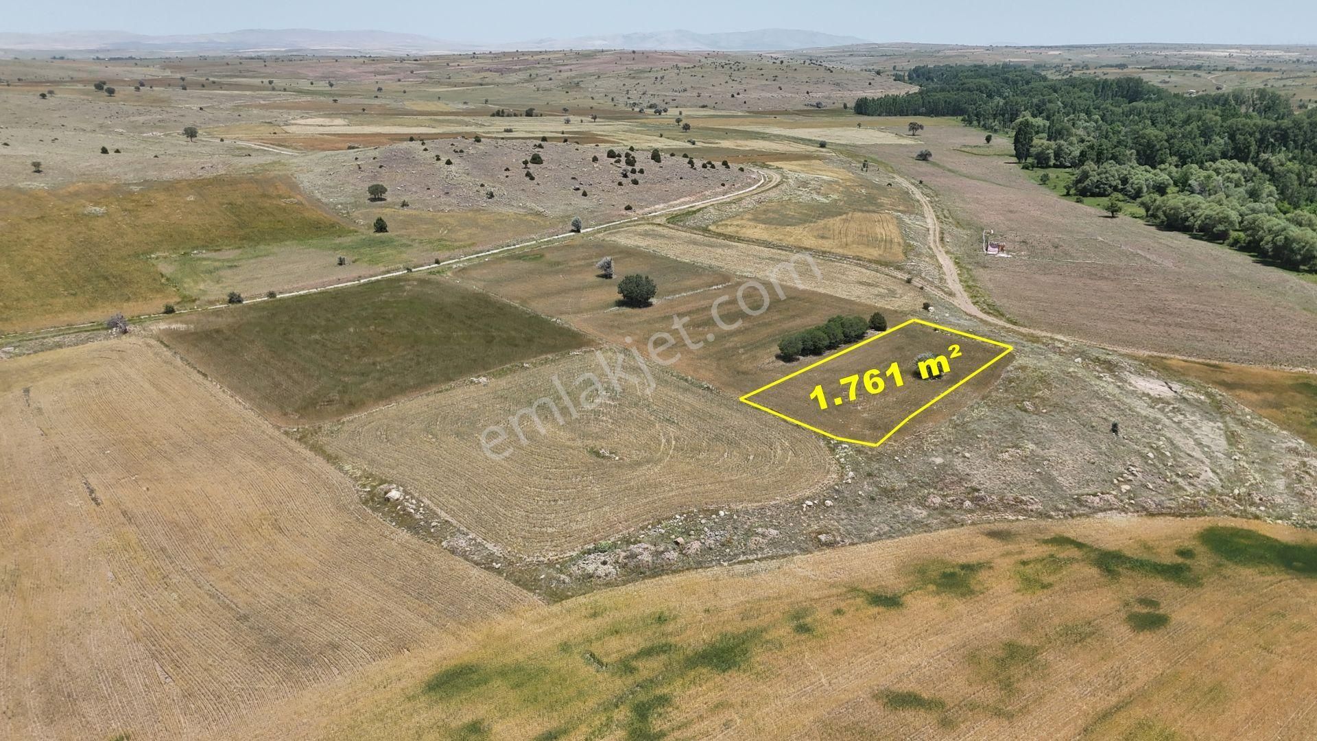 Konya / Akören / Çatören Mahallesinde 1.761 M² Müstakil Tapulu Tarla