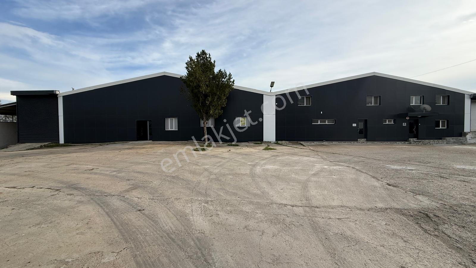Turyap Hürriyetten Ergene İğnelerde 1850 M2 Kiralık Fabrika/depo - Görsel 3