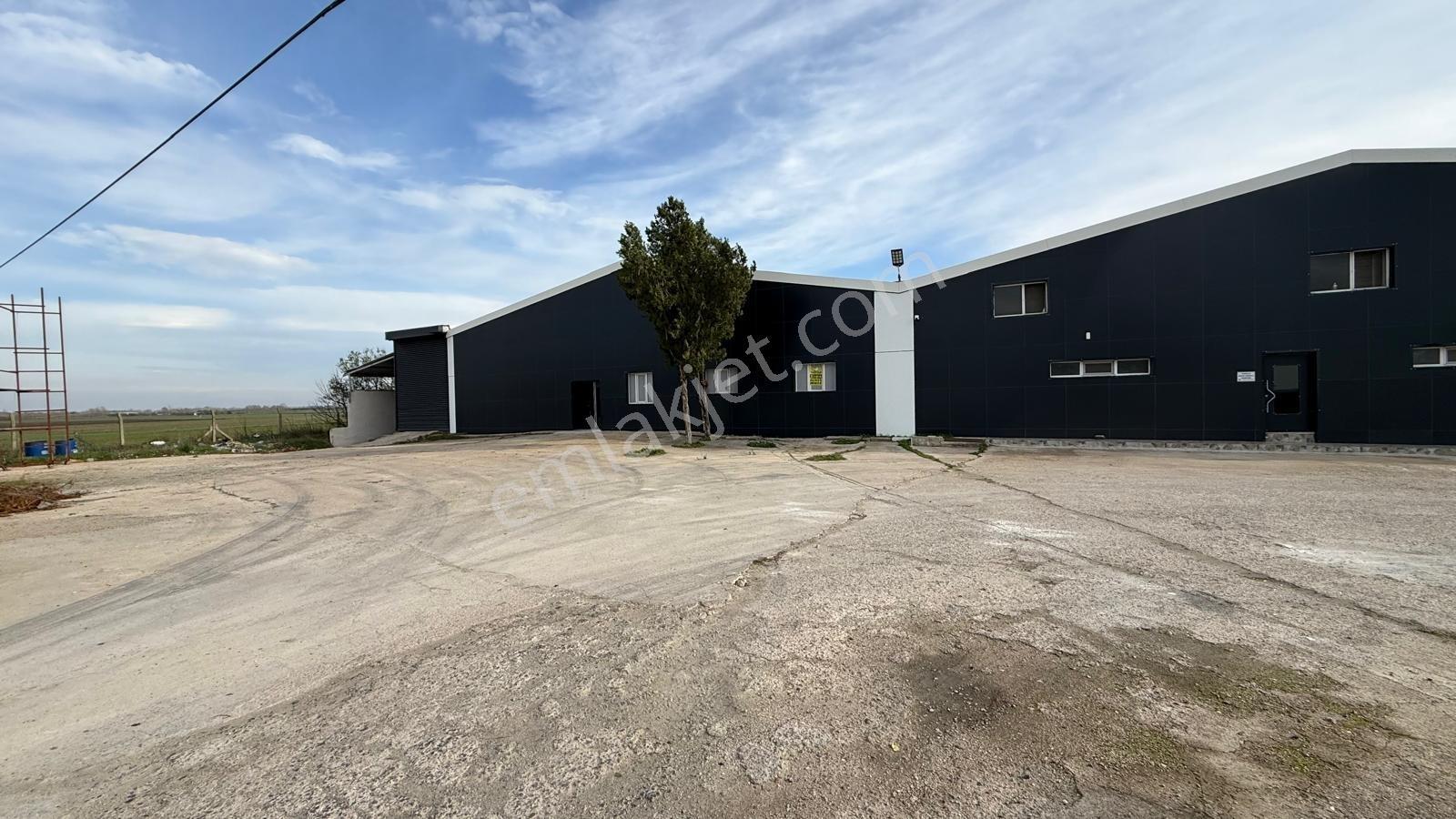 Turyap Hürriyetten Ergene İğnelerde 1850 M2 Kiralık Fabrika/depo - Görsel 26