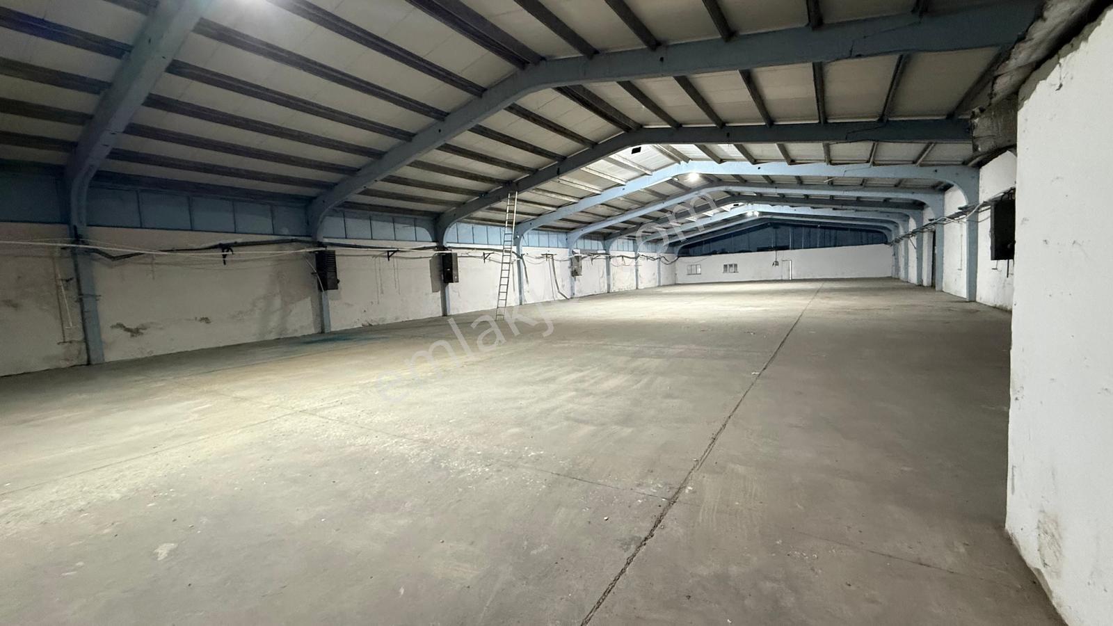 Turyap Hürriyetten Ergene İğnelerde 1850 M2 Kiralık Fabrika/depo - Görsel 9
