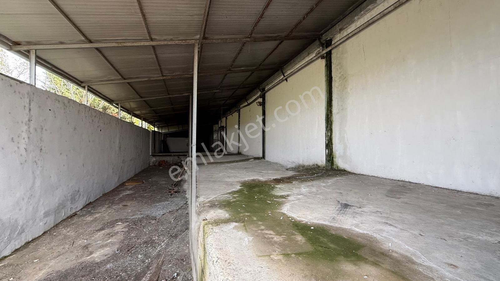 Turyap Hürriyetten Ergene İğnelerde 1850 M2 Kiralık Fabrika/depo - Görsel 10