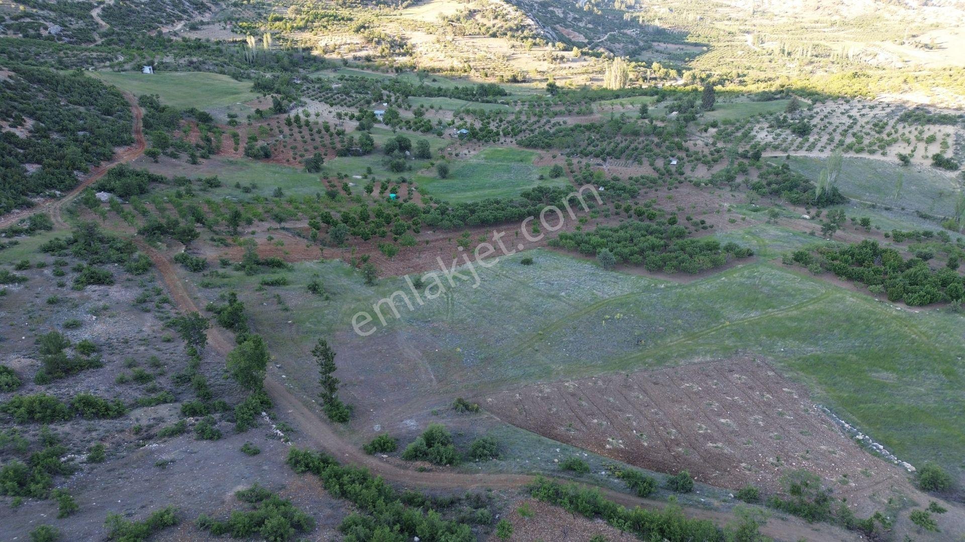 Karaman / Ermenek / Boyalık Mahallesinde 448 M² Müstakil Tapulu Tarla - Görsel 6