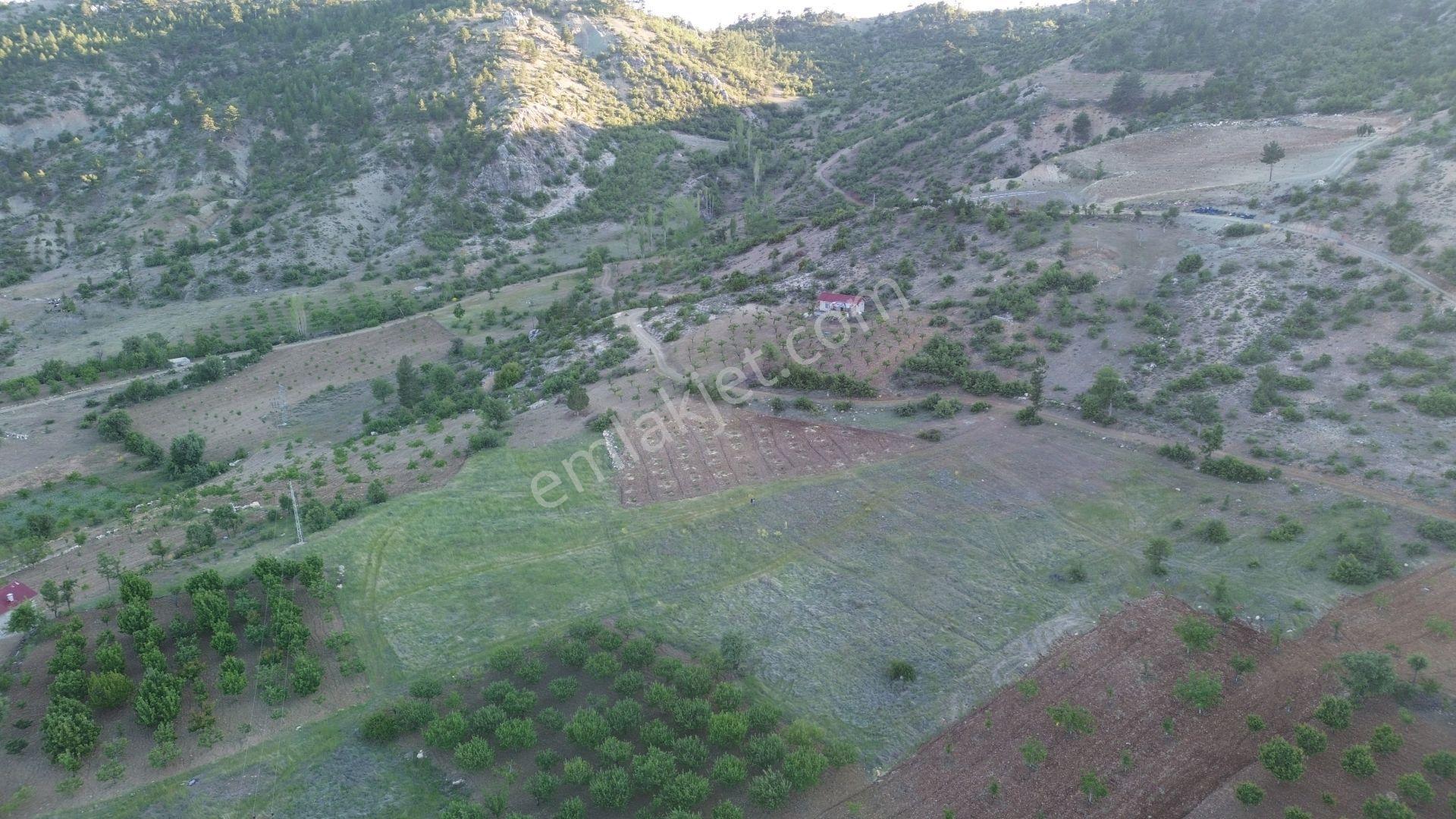 Karaman / Ermenek / Boyalık Mahallesinde 448 M² Müstakil Tapulu Tarla - Görsel 7
