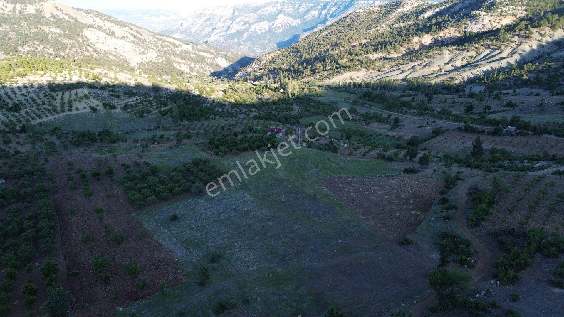 Karaman / Ermenek / Boyalık Mahallesinde 448 M² Müstakil Tapulu Tarla - Görsel 8