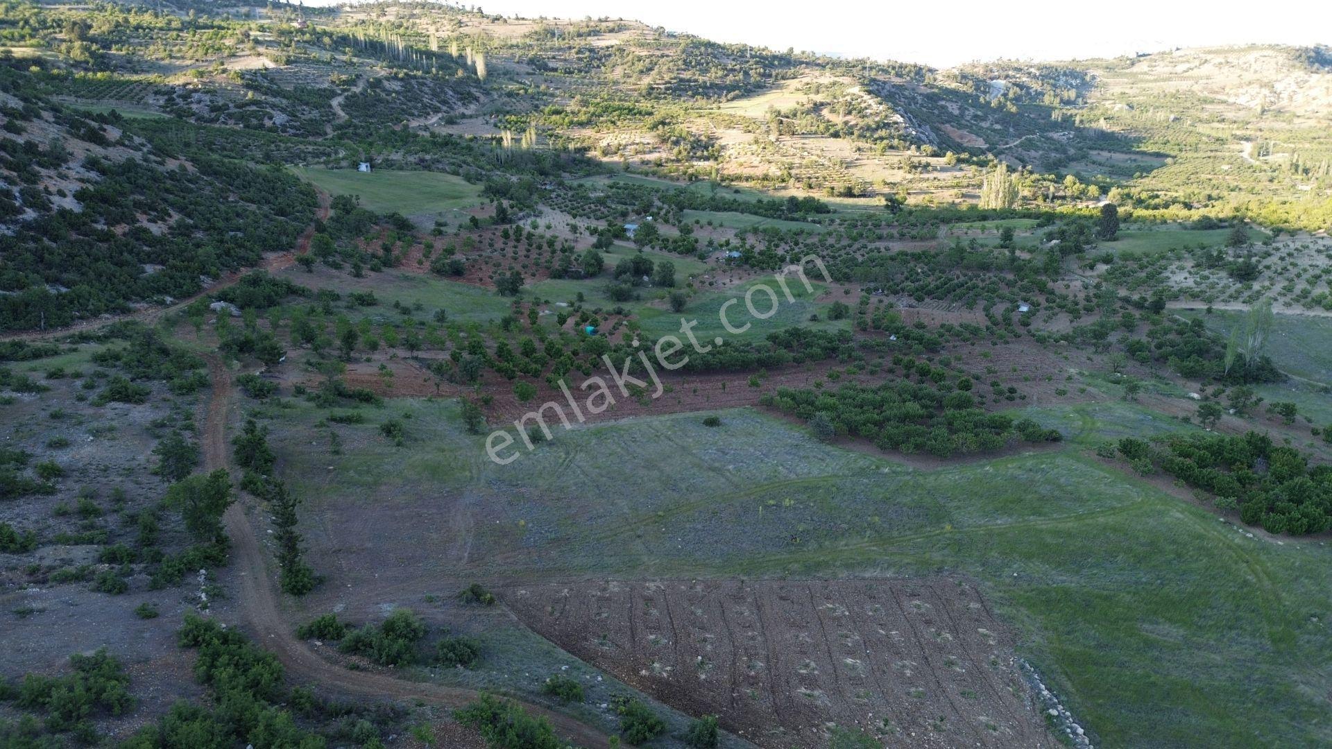 Karaman / Ermenek / Boyalık Mahallesinde 448 M² Müstakil Tapulu Tarla - Görsel 2