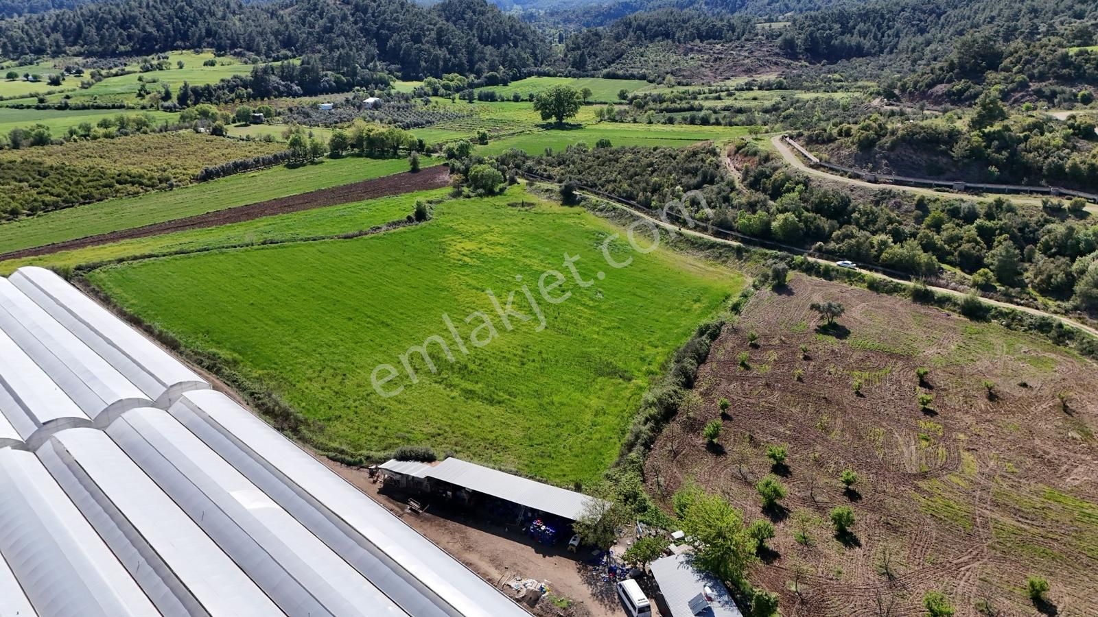 Antalyanın Gözdesi 21 Dönüm Verimli Sera Ve Çiftlik Arazisi - Görsel 4