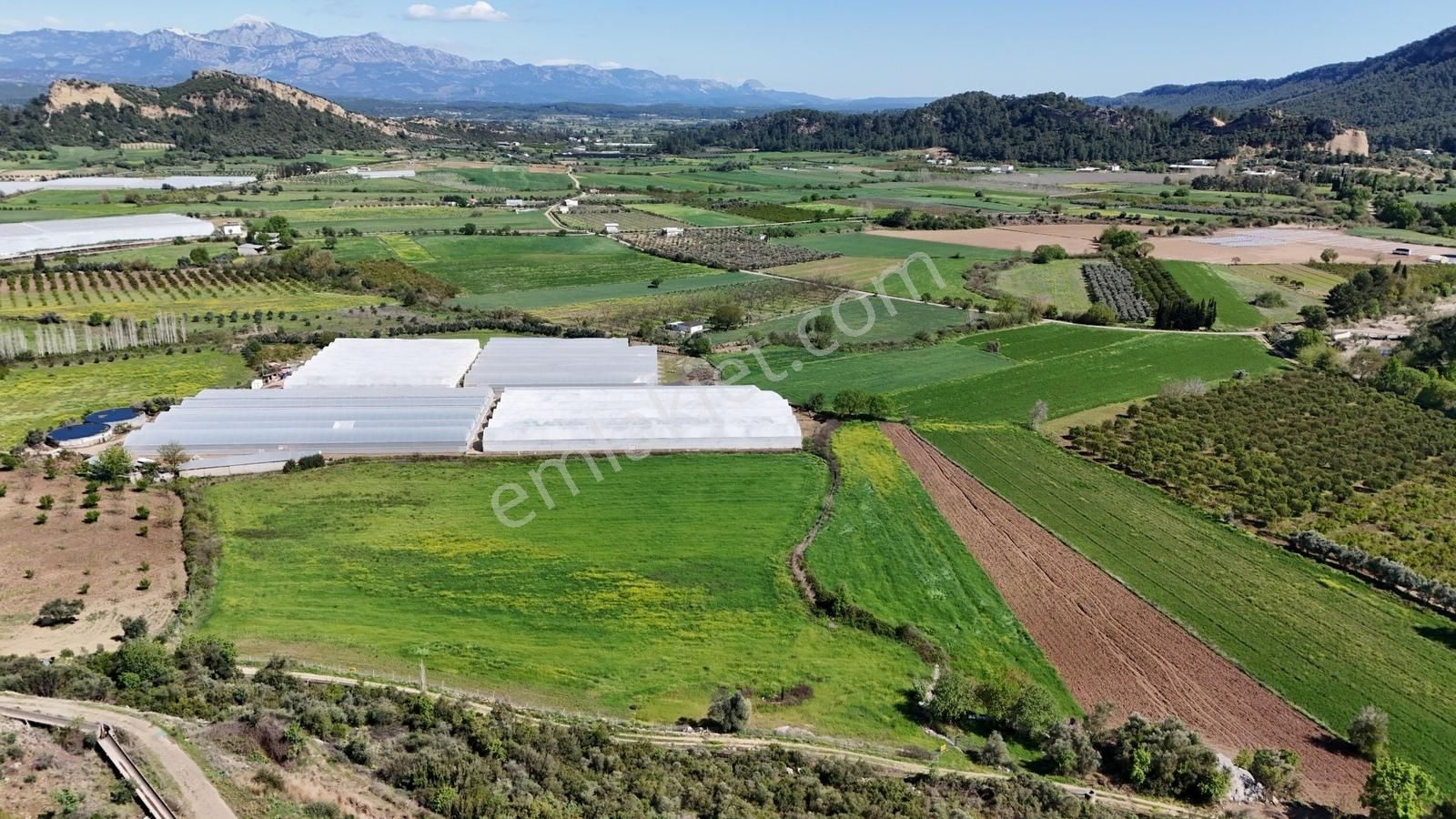 Antalyanın Gözdesi 21 Dönüm Verimli Sera Ve Çiftlik Arazisi - Görsel 5