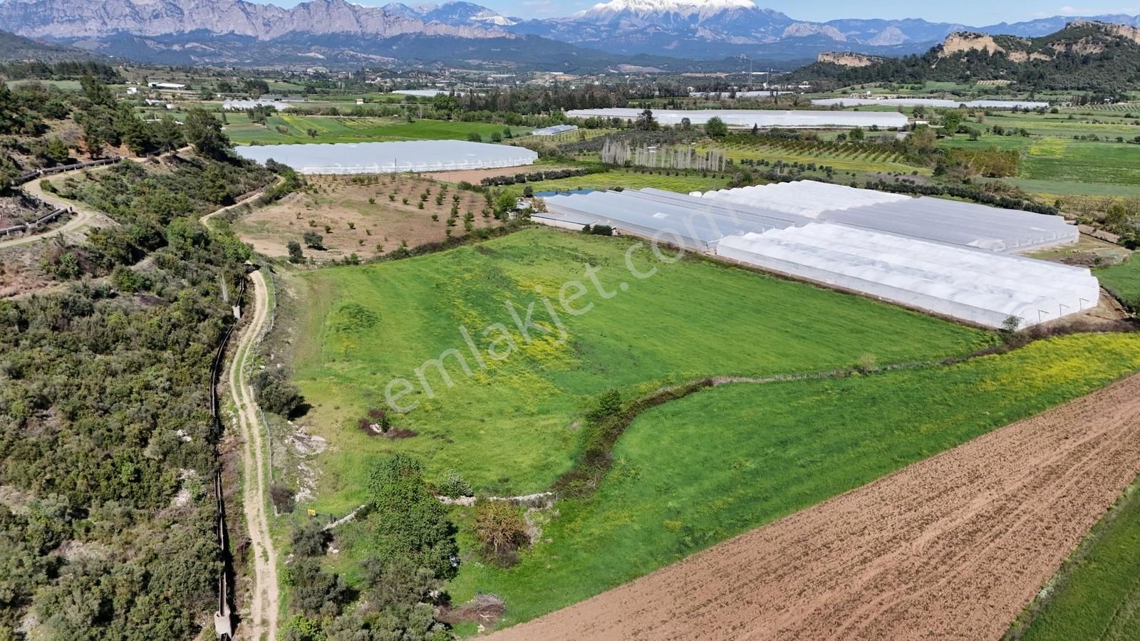 Antalyanın Gözdesi 21 Dönüm Verimli Sera Ve Çiftlik Arazisi - Görsel 8