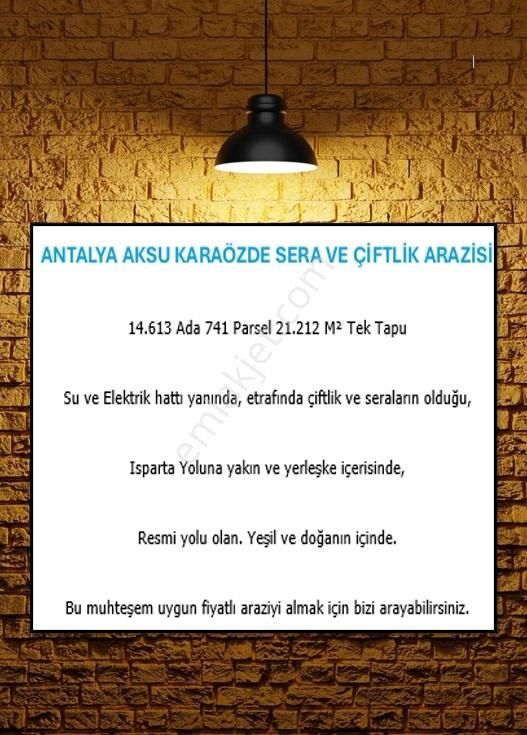 Antalyanın Gözdesi 21 Dönüm Verimli Sera Ve Çiftlik Arazisi - Görsel 7