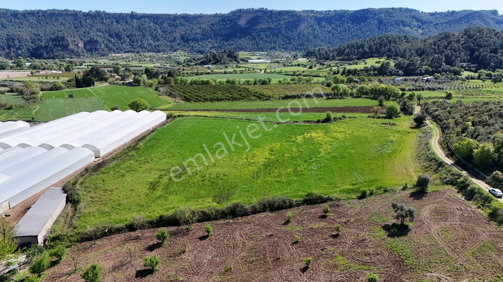 Antalyanın Gözdesi 21 Dönüm Verimli Sera Ve Çiftlik Arazisi - Görsel 6