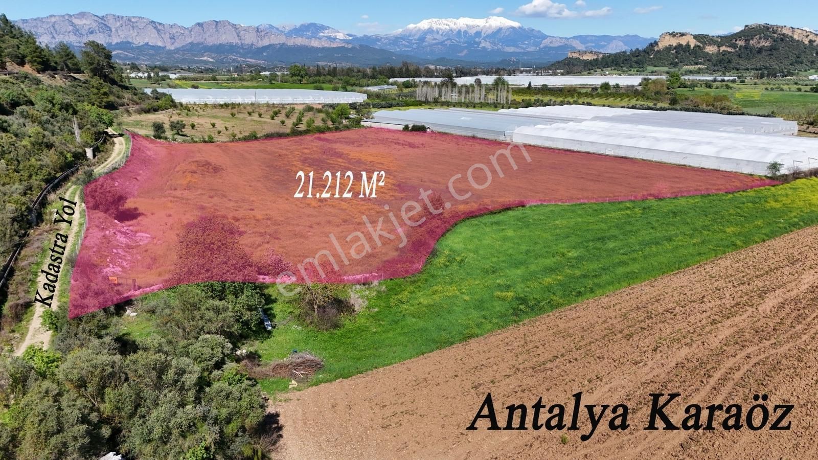 Antalyanın Gözdesi 21 Dönüm Verimli Sera Ve Çiftlik Arazisi - Görsel 3